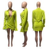 POLO Collar Irregular Tie Flare Sleeve Shirt Dress