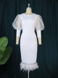 Mesh Perspective Lantern Sleeve Dress Personality Feather Hem Banquet Evening Dress