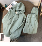 Thickened plush loose hooded sweater women's leggings suit sport casual two-piece set