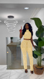 Sexy mesh perspective women's ironing trousers sleeveless fashion suit