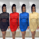 Mesh Perspective Dress Scalded Long Sleeve High Neck Hip Wrap Dress