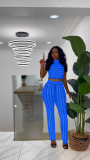 Sexy mesh perspective women's ironing trousers sleeveless fashion suit
