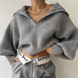 Casual Slouchy Lapel Loose Lantern Sleeve Short Sweater