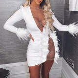 Mesh Panel Feather Decorative Slim Dress