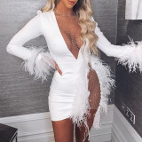 Mesh Panel Feather Decorative Slim Dress