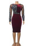 Sequin Skirt Women's Dress