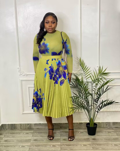 Fashion women's fashion printed pleated high waist skirt suit