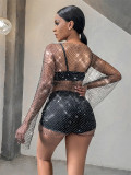 Long Sleeve Mesh Sparkling Round Neck Dress