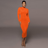 Fashion temperament solid color slim fitting high collar long sleeve dress