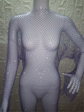 Long Sleeve Mesh Sparkling Round Neck Dress