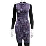 Mesh sparkle round neck dress