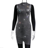 Mesh sparkle round neck dress