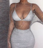 Long Sleeve Mesh Sparkling Round Neck Dress