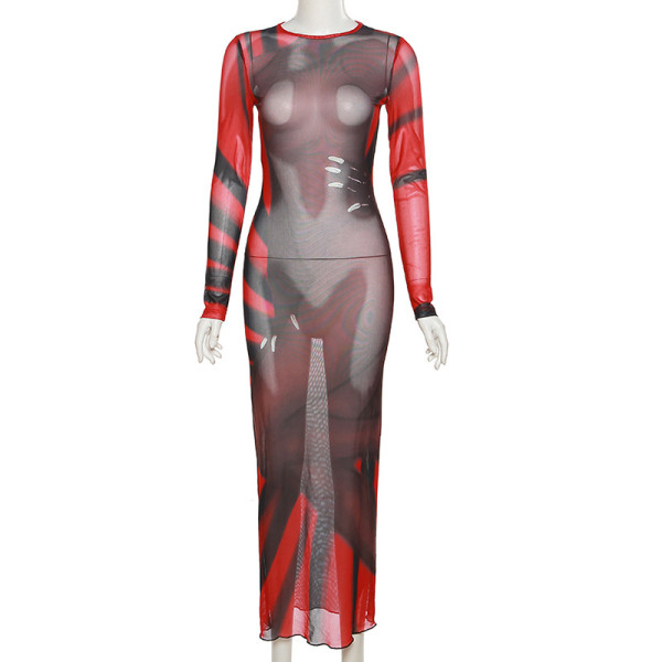 Autumn and winter women's new fashion sexy perspective screen print slim bag hip dress
