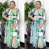 Women's chiffon V-neck printing large hem long sleeve dress