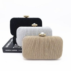 Dinner bag Dinner bag Women holding banquet bag One shoulder diagonal cross pleated bag