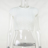 Slim and Slim fried dough twist Rough Woven Spicy Girls Top European and American Temperament Casual Versatile Backing Knit