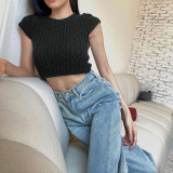 Slim and Slim fried dough twist Rough Woven Spicy Girls Top European and American Temperament Casual Versatile Backing Knit