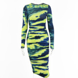 Printed Dress Fashion Casual Long Sleeve Round Neck Slim Style Versatile Long Dress