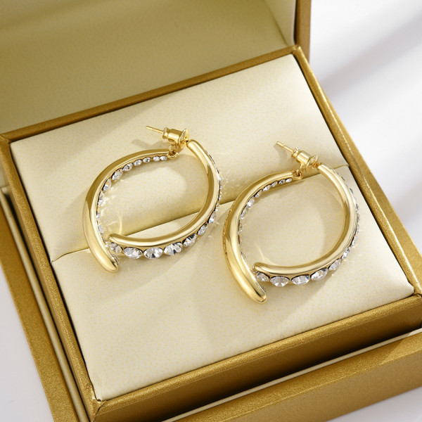 Literature and Art Intersection Fishtail Light Luxury S925 Silver Needle Earrings Simple Fashion Micro set Zircon Earrings