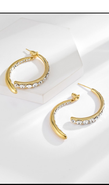 Literature and Art Intersection Fishtail Light Luxury S925 Silver Needle Earrings Simple Fashion Micro set Zircon Earrings