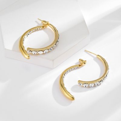 Literature and Art Intersection Fishtail Light Luxury S925 Silver Needle Earrings Simple Fashion Micro set Zircon Earrings