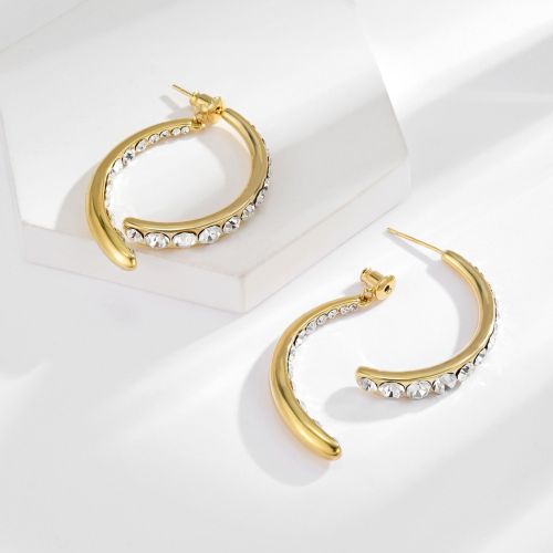 Literature and Art Intersection Fishtail Light Luxury S925 Silver Needle Earrings Simple Fashion Micro set Zircon Earrings