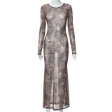 Perspective screen street style printed dress