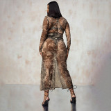 Perspective screen street style printed dress
