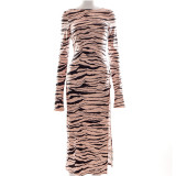 Long sleeve open back zebra print dress