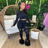 Round Neck Hollow out Long Sleeve Top High Waist Slim Tight Pants Set