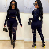 Round Neck Hollow out Long Sleeve Top High Waist Slim Tight Pants Set