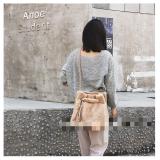 Single-shoulder bag Korean version versatile messenger bag fashion plush bucket bag plush bag