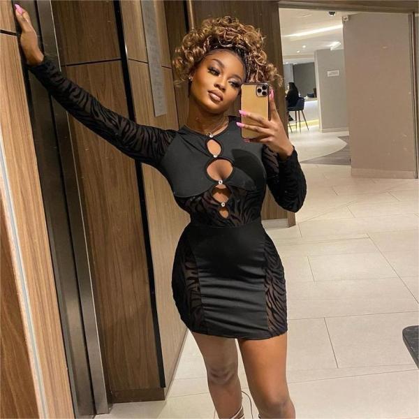 Sexy perspective flocking patchwork slim dress