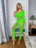 Sexy one-piece long-sleeved silky ultra-thin perspective tights mesh