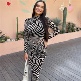 Fashion sexy mesh zebra print long-sleeved slim dress