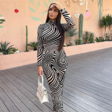 Fashion sexy mesh zebra print long-sleeved slim dress