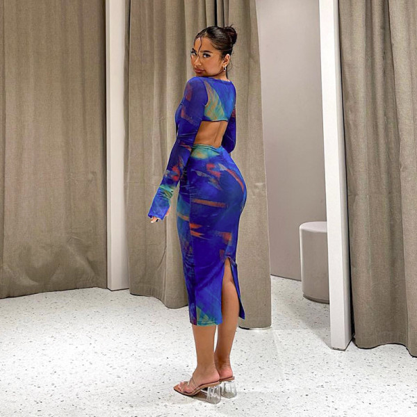 Printed long-sleeved open-back hollowed-out mesh pleated buttock dress