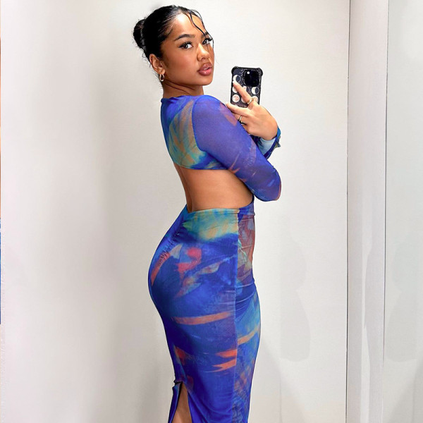Printed long-sleeved open-back hollowed-out mesh pleated buttock dress