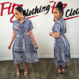 Fashion casual printed dress