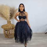 Sexy gauze neck hanging perspective dress
