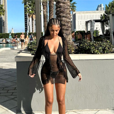 Mesh panel perspective fringed lace slim dress