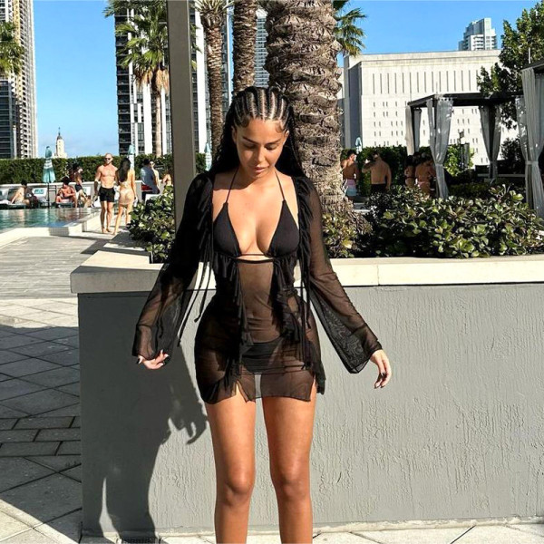 Mesh panel perspective fringed lace slim dress