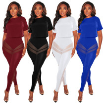 Women's fashion sexy perspective mesh pants solid color T-shirt two-piece suit Women's fashion sexy perspective mesh pants solid color T-shirt two-piece suit