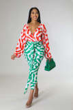 Sexy and fashionable digital printing V-neck long-sleeved pleated women's dress