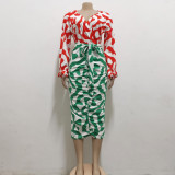Sexy and fashionable digital printing V-neck long-sleeved pleated women's dress
