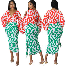 Sexy and fashionable digital printing V-neck long-sleeved pleated women's dress