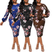 Sexy and fashionable digital printing long-sleeved round neck women's dress