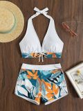 Split Bikini Bikini High Waist Swimwear