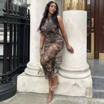 Sexy Printed Sleeveless Round Neck Mesh Perspective Slim Fit Long Dress